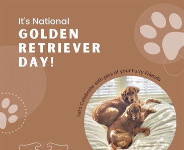 Let’s see pics of your pups! 🐾