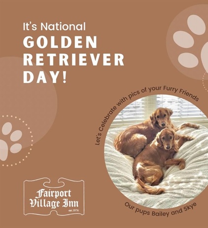 Let’s see pics of your pups! 🐾